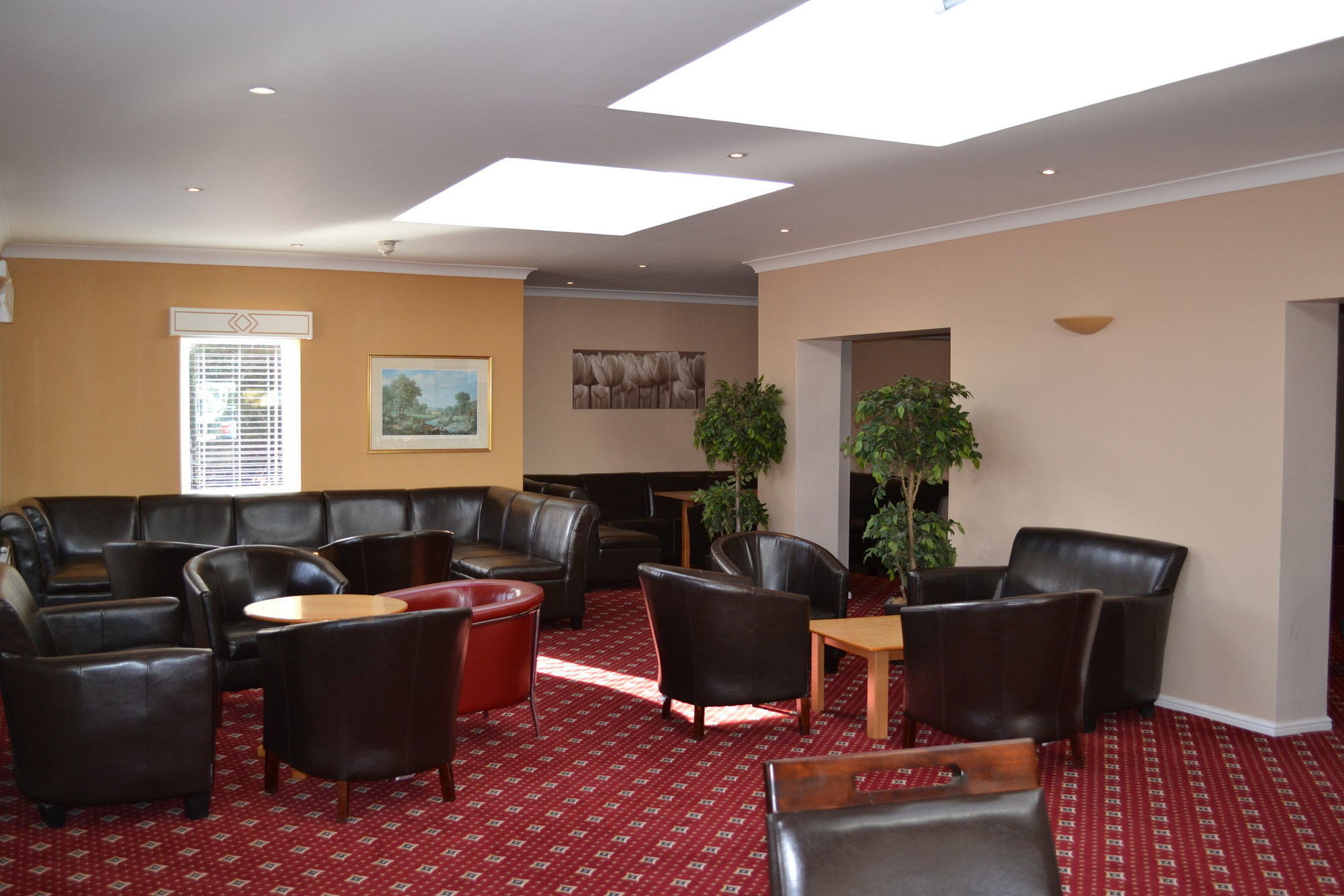 Chichester Park Hotel מראה חיצוני תמונה